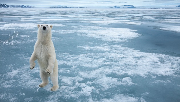 北極圈溫度再升高 限制升溫要加速 | 文章內置圖片