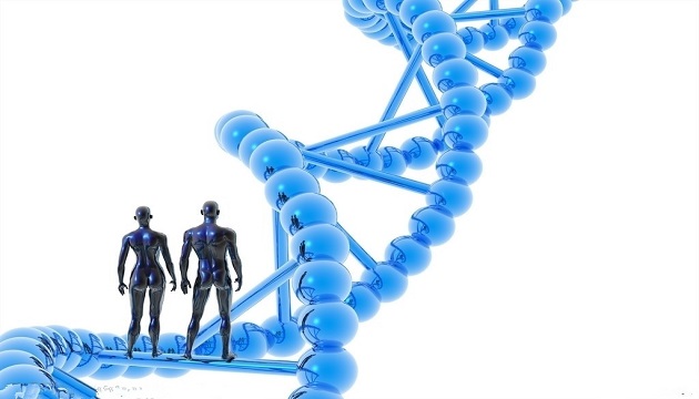 基因突變影響12種癌症遺傳機率！