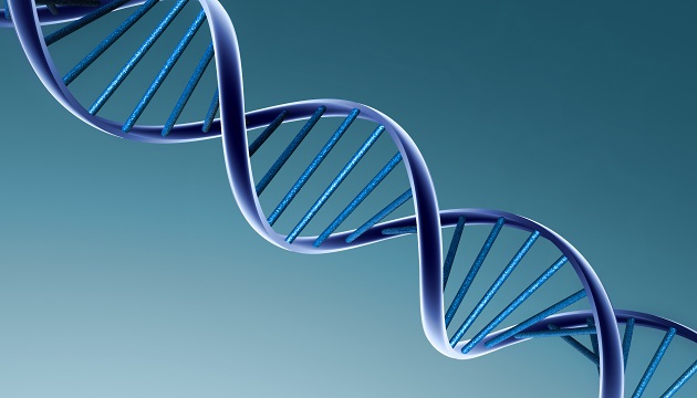 基因突變影響12種癌症遺傳機率！ | 文章內置圖片