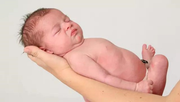 台中榮總研發輔具 有效照顧早產新生兒 | 文章內置圖片