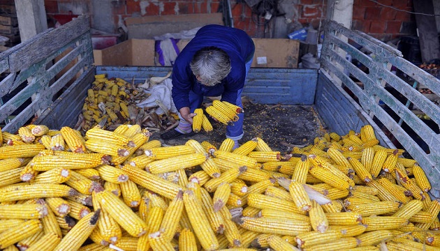 糧農組織：1月全球糧食價格降創7年新低 | 文章內置圖片