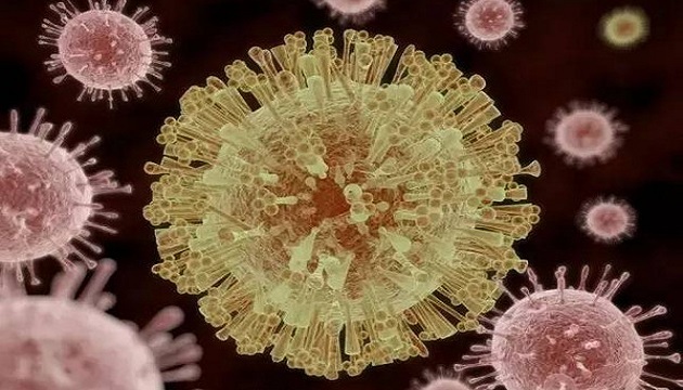 茲卡病毒嚴重失控 WHO再發高度警戒 | 文章內置圖片