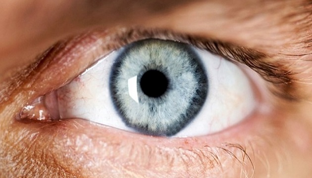 陸美科學合研自體細胞培養眼角膜水晶體 試驗成功 | 文章內置圖片
