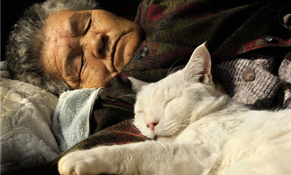 伊原美代子攝影作品 老奶奶愛貓福丸一年前逝世