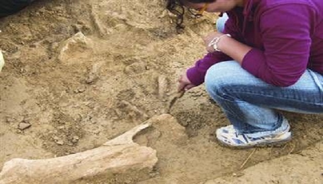 台灣考古新發現4800年前年輕母緊抱嬰兒化石 | 文章內置圖片