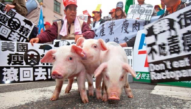 議員要求台北市全力拒絕美豬 柯文哲簽不下去 | 文章內置圖片