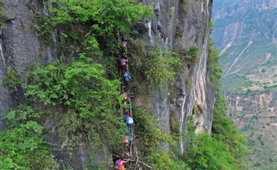 上學還是玩命？中國「懸崖村」攀藤梯上課　曾多人摔死