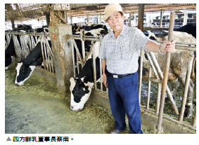 臺灣乳品九成七國產 接踵困境未來酪農恐消失！ | 文章內置圖片