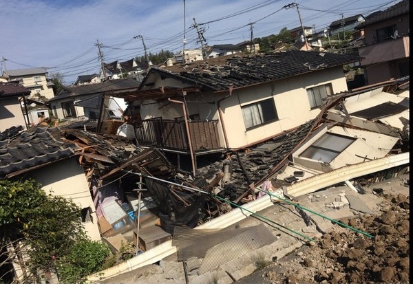 日本男子地震傳謠言 動物園獅子逃出害人 | 文章內置圖片