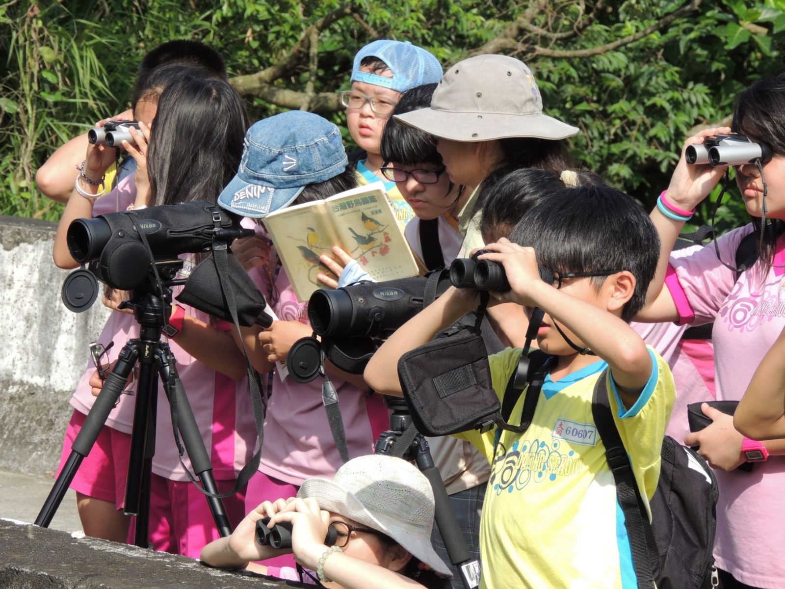 濕地FUN學趣  暑假一起來社子島，認識豐富有趣的濕地生態