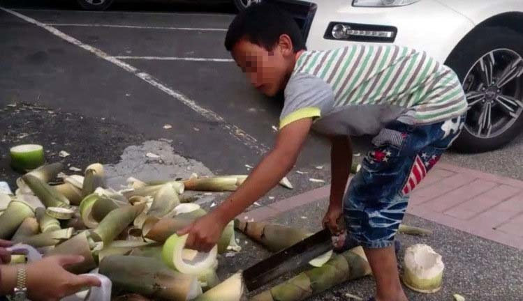 11歲男童砍竹筍賺學費？誤會一場啦！ | 文章內置圖片