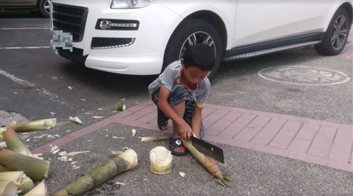 11歲男童砍竹筍賺學費？誤會一場啦！
