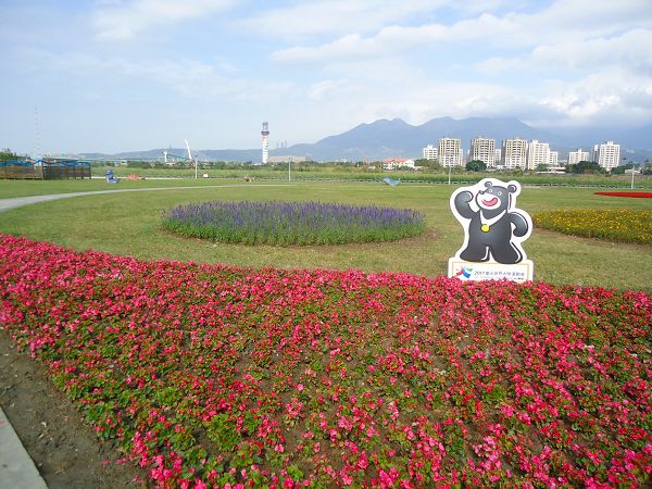 暑假結尾賞花去 士林百齡左岸河濱公園為北台灣第一首選！