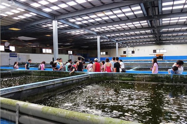 保障消費者食的安全  台南市推動水產飼料抽驗計畫