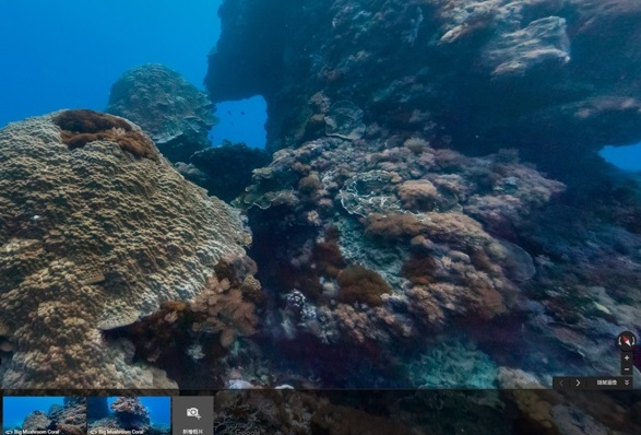 Google海底實景上線！　回味「大香菇」快拿起手機搜尋！ | 文章內置圖片