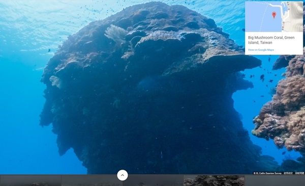 Google海底實景上線！　回味「大香菇」快拿起手機搜尋！