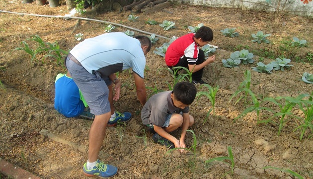 食農教育真體驗！ 重寮國小落葉當堆肥落實​生活教育