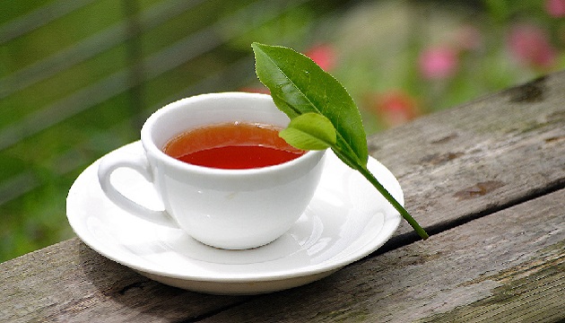 紅茶怎麼泡最好喝?只要把握這秘訣 茶包也能變出英式午茶