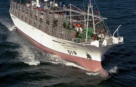 台灣漁船遭受歐盟黃牌警告 | 文章內置圖片