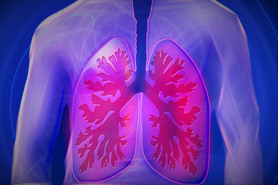 肺就要呼吸不然要幹嘛? 專家:還能造血! | 文章內置圖片