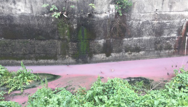 新北二八張溝被染成粉紅色 環保局開罰300萬 | 文章內置圖片