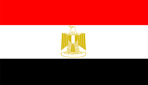 IS自殺炸彈釀44死 埃及總統下達緊急命令90天 | 文章內置圖片