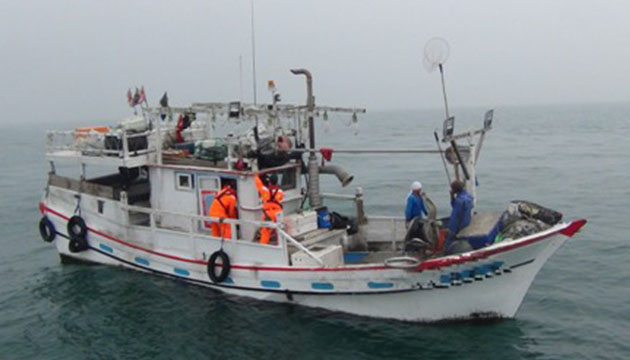 維護台灣海洋生態 淡水查獲違規捕撈