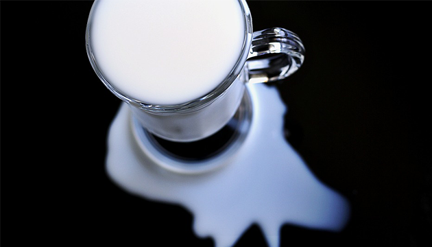 乳牛验出人畜互传结核病 牛奶这样喝恐肾衰竭