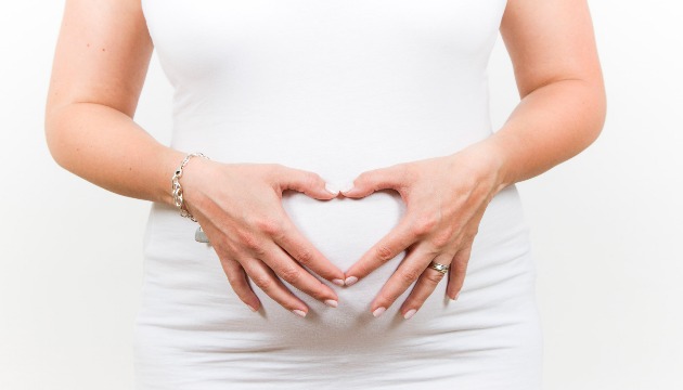 美國醫院實驗成功 人造子宮有望造福早產兒 | 文章內置圖片