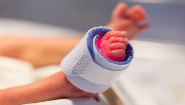 美国医院实验成功 人造子宫有望造福早产儿 | 文章内置图片