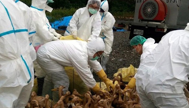 成功控制H5N6禽流感疫情 禽流感中央災害應變中心達成階段性任務