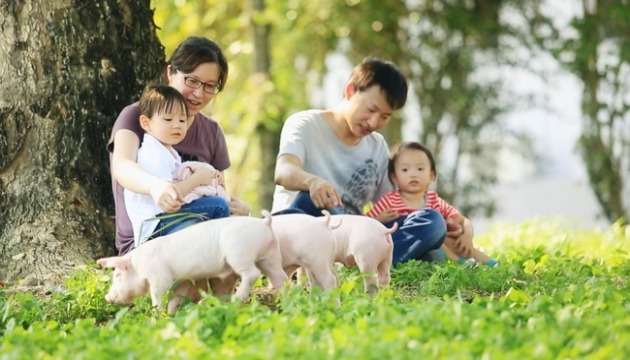 猪只疫苗扬名国际 瑞宝再抢攻中国市场