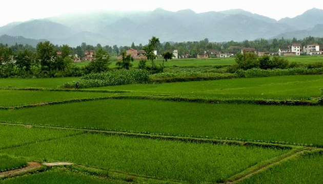越南對進口肥料展開防衛措施調查