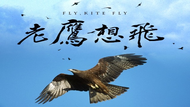 中市举办《老鹰想飞》纪录片映谈会 宣传生态共存的重要性
