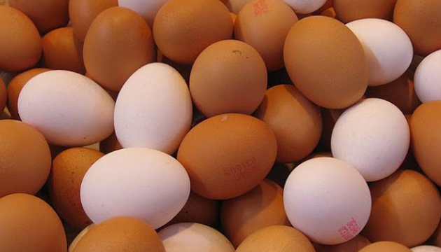 戴奧辛超標雞蛋與CAS驗證無關　農委會鄭重澄清