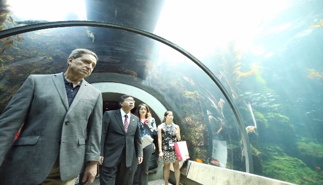 科學與數位教育重要 青埔計畫建水族館