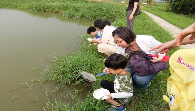 探索水棲生物 親子同遊生態濕地