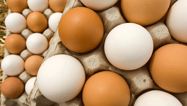 洗雞蛋大學問 食藥署:不要用洗潔劑 | 文章內置圖片