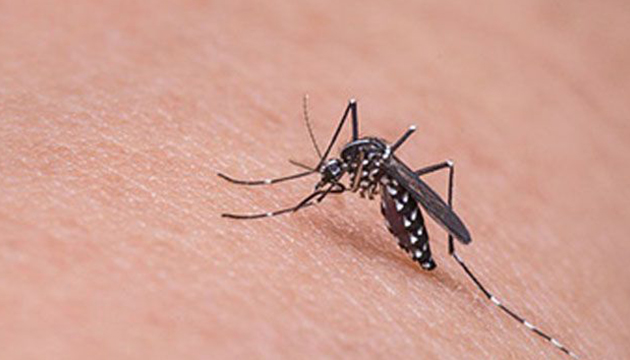 國內再增1例境外移入茲卡病毒感染個案，民眾自流行地區返國請落實「1+6原則」並加強防蚊措施