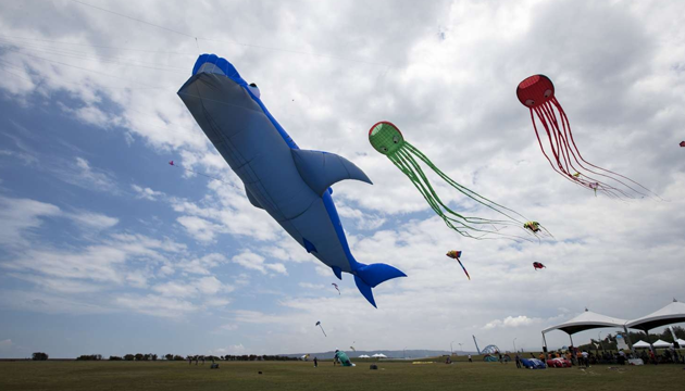 各國好手共競　新竹國際風箏節周末登場 | 文章內置圖片