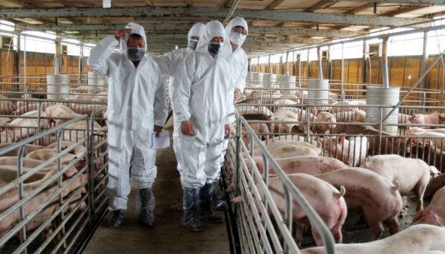 賴揆：以農民及消費者雙贏為基礎 加速振興我國養豬產業