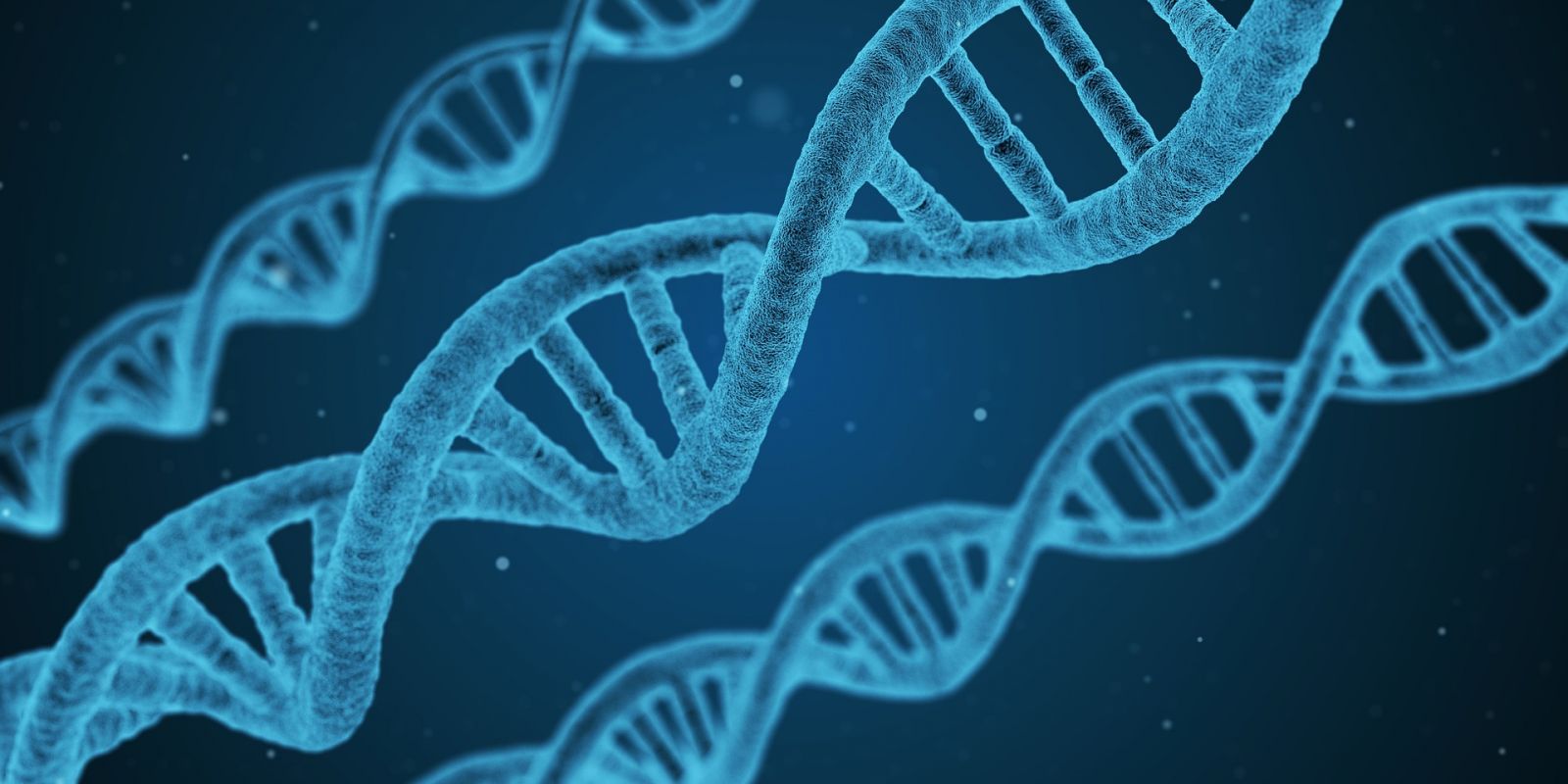 科學家首次人體內基因編輯 為代謝病患者治療 | 文章內置圖片