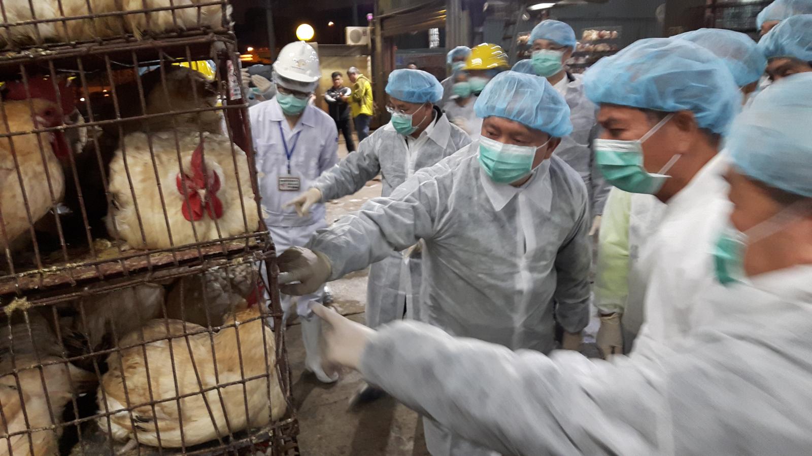 農委會林主委視察家禽交易場 宣布多項強化防疫新措施 | 文章內置圖片