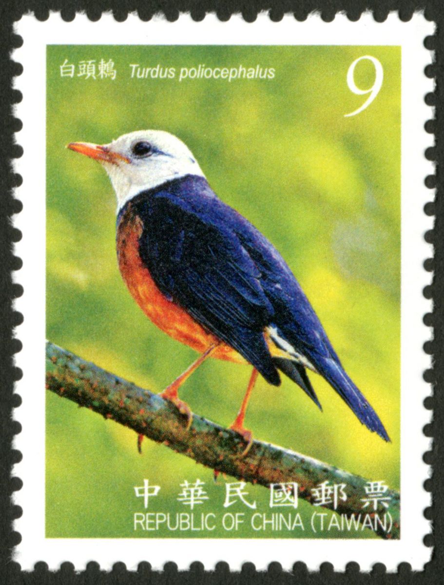 添印臺灣鳥類郵票 | 文章內置圖片
