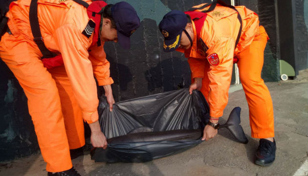 岸際發現死亡鯨豚 海巡人員協助移置