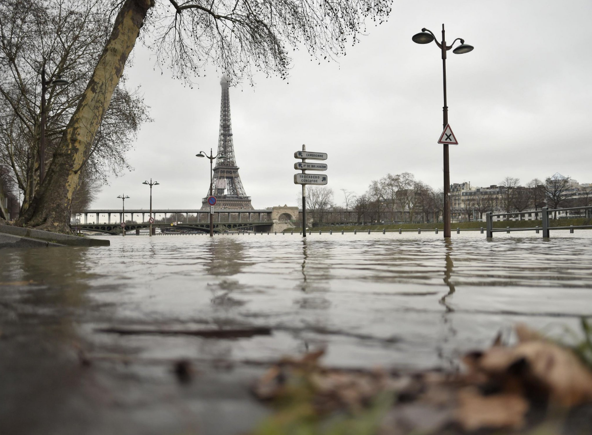 【影】噁! 巴黎水患恐導致380萬隻老鼠傾巢而出 | 文章內置圖片