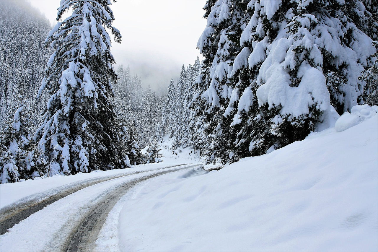 高山成冰雪世界  民眾不畏低溫瘋狂追雪