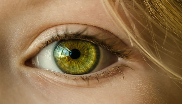 校園學童視力保健-近視疾病要知道、下課戶外好視力、遠離3C惡視力、定期就醫來防盲