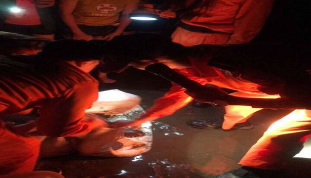 新月沙灣保育類海龜遭困漁網 熱心民眾及岸巡人員協助脫困