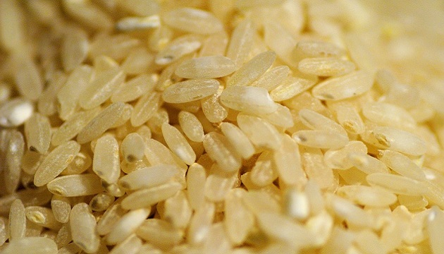 直接給付引導農民注重稻米品質，保障稻農收益